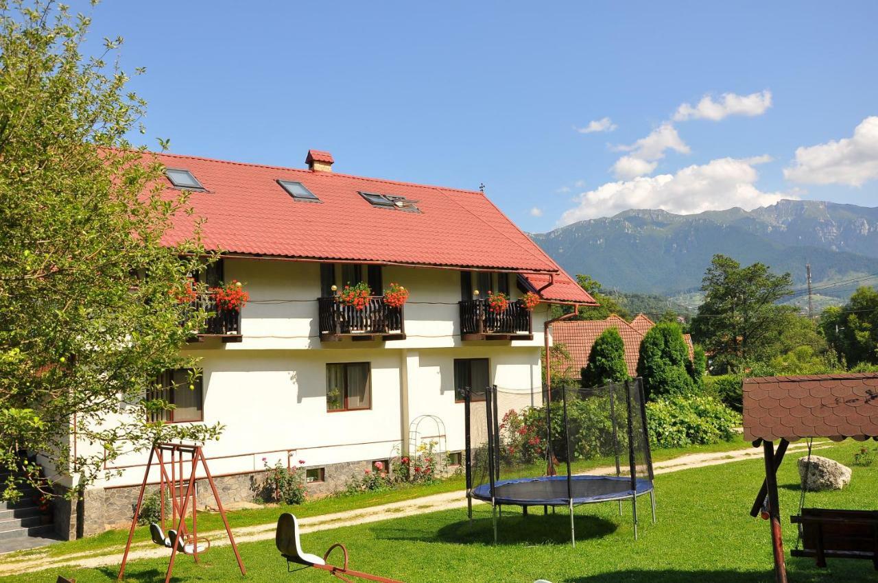 Pel Flora Hotel Bran  Exterior photo